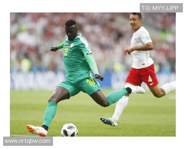 波兰足球明星的辉煌历程与未来展望：从传奇到新星的崛起之路