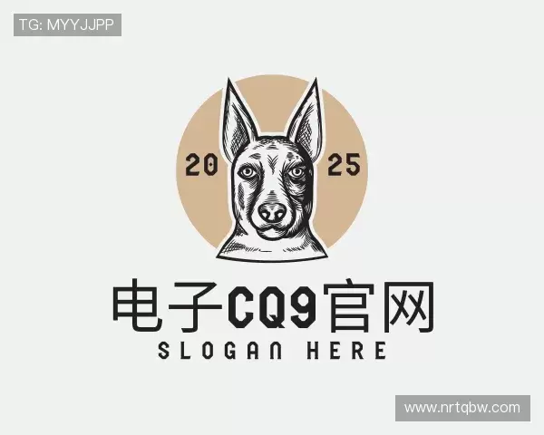 关于电子cq9官网